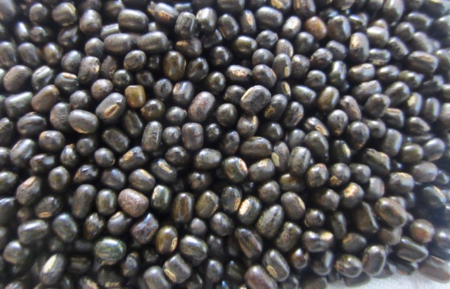 Chana Dal and Urad Dal