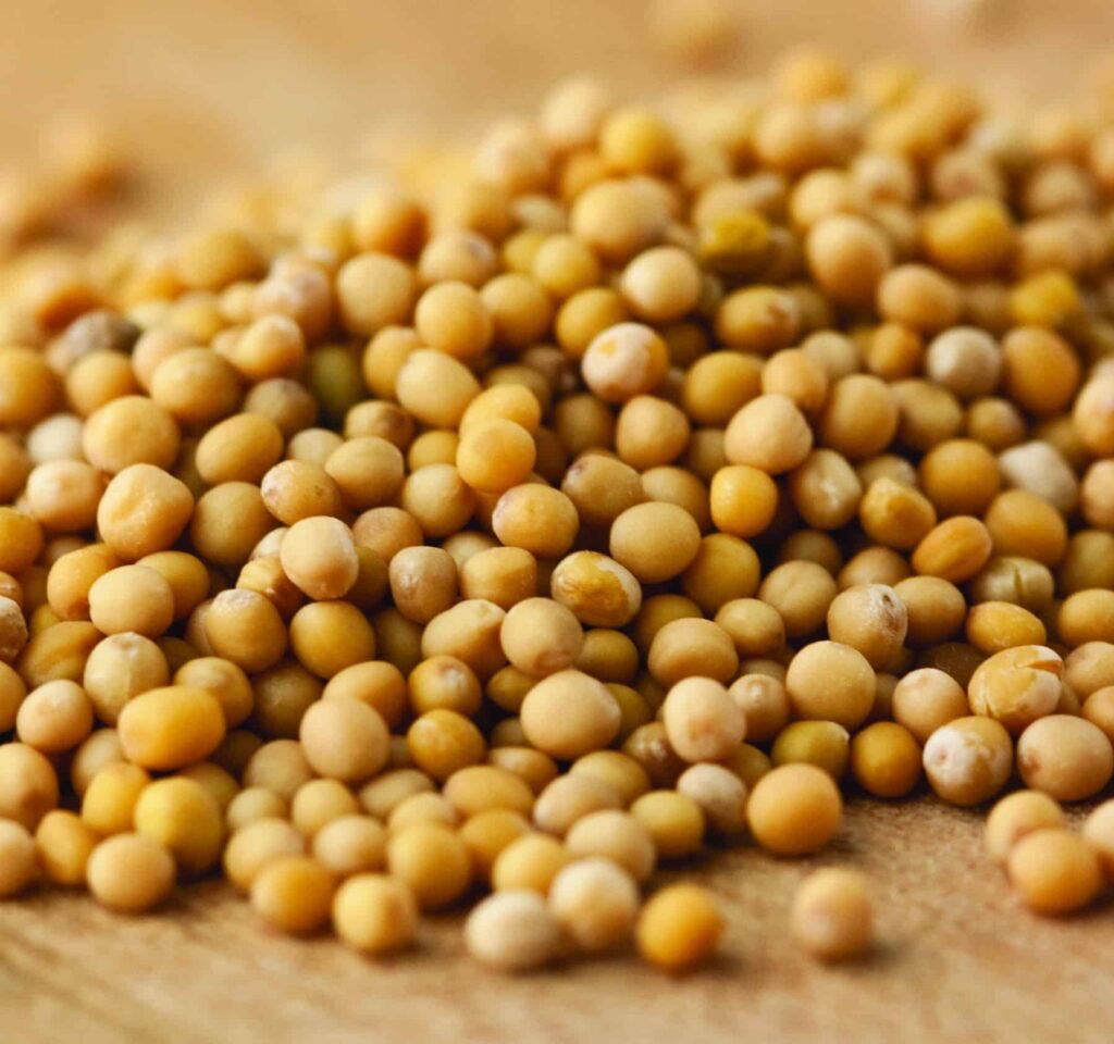 Mustard Seeds